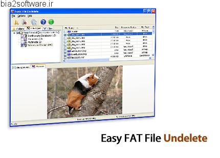 Easy FAT File Undelete v2.5 بازیابی فایل های پاک شده