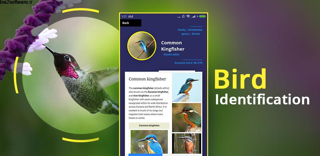 Bird Identifier 1.4 شناسایی پرندگان مخصوص اندروید!