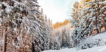 Koda Cam-Photo Editor,1998 Cam,Kodak Filter,HD Cam v1.3.5 ساخت تصاویر نوستالژیک مشابه عکس های دهه نود میلادی Koda Cam-Photo Editor,1998 Cam,Kodak Filter,HD Cam v1.3.5 ساخت تصاویر نوستالژیک مشابه عکس های دهه نود میلادی