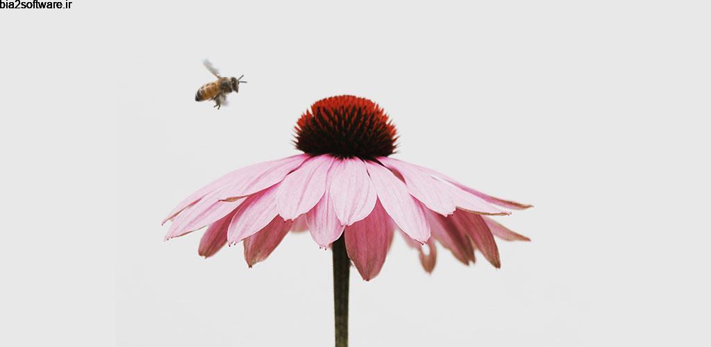 VIMAGE – cinemagraph animator & live photo editor Premium 2.2.0.1 ایجاد سینماگراف و تصاویر زنده توسط اندروید VIMAGE – cinemagraph animator & live photo editor Premium 2.2.0.1 ایجاد سینماگراف و تصاویر زنده توسط اندروید