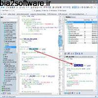 Source Insight 4.00.0097 مدیریت و بررسی کدهای نرم افزاری Source Insight 4.00.0097 مدیریت و بررسی کدهای نرم افزاری