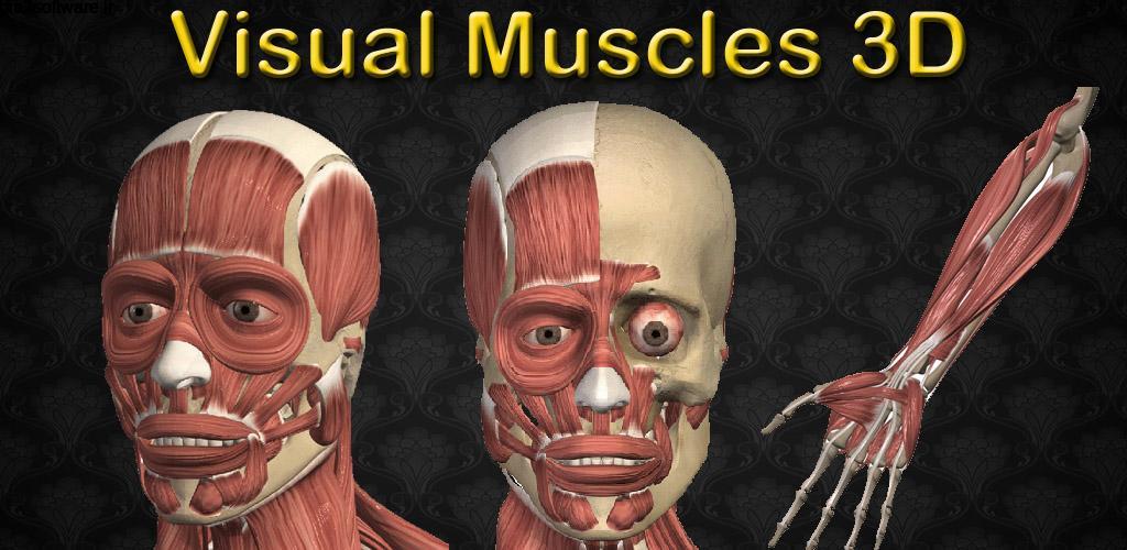Visual Muscles 3D 3.0.0 نمای سه بعدی عضلات انسان مخصوص اندروید ! Visual Muscles 3D 3.0.0 نمای سه بعدی عضلات انسان مخصوص اندروید !