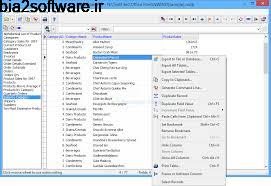 Exportizer Pro 5.5.7.806 مشاهده و ویرایش پایگاه های داده Exportizer Pro 5.5.7.806 مشاهده و ویرایش پایگاه های داده