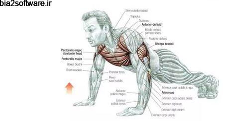 PushUp Assistant v1.6 دستیار تمرین شنا رفتن اندروید PushUp Assistant v1.6 دستیار تمرین شنا رفتن اندروید