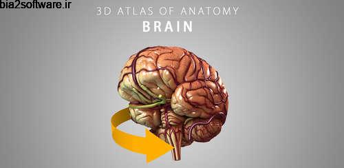Brain 3D Anatomy v1.0.2 آناتومی 3 بعدی مغز اندروید Brain 3D Anatomy v1.0.2 آناتومی 3 بعدی مغز اندروید