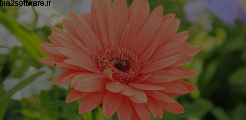 Pixel Filter 1.0 کاهش نور صفحه اندروید Pixel Filter 1.0 کاهش نور صفحه اندروید