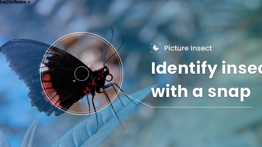 Picture Insect – Bug Identifier 2.2 شناسایی حشرات مخصوص اندروید Picture Insect – Bug Identifier 2.2 شناسایی حشرات مخصوص اندروید